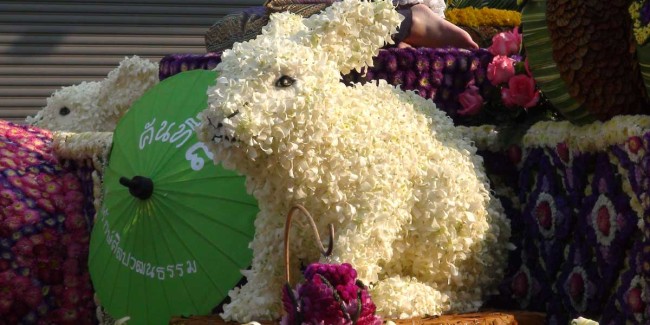 Chiang Mai Flower Festival