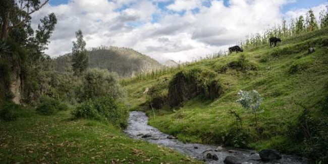 Incas with Amazon & Galapagos: Ruins, Wildlife, Culture, Rainforests & Islands