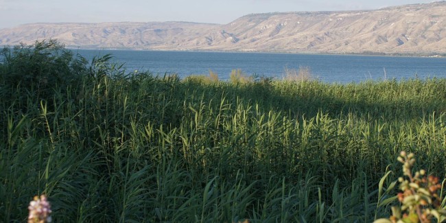 Galilee