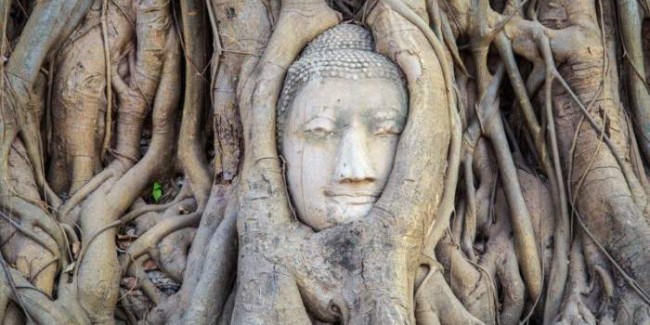 Total Thailand: Culture, Temples, Beaches, Wildlife & Traditions