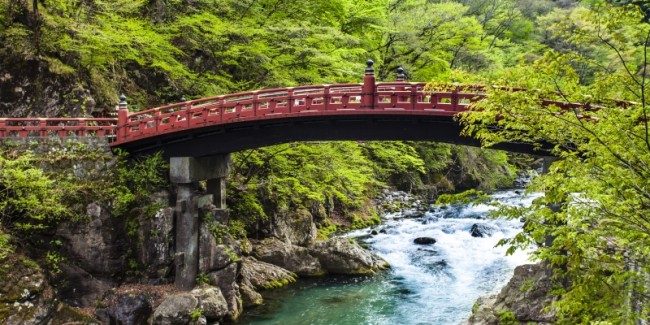 Discover Japan: Cherry Blossoms, Temples, Culture & Landscapes