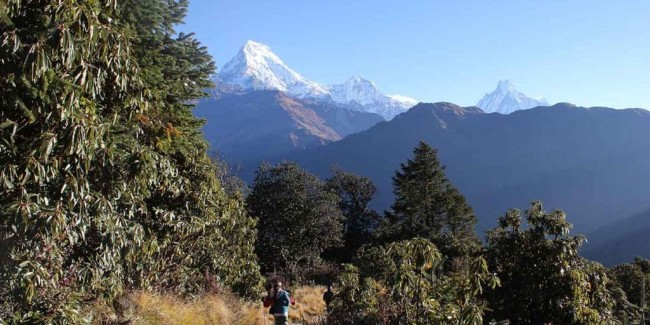 Ghorepani Poon Hill Trek: Himalayas, Culture, Nature & Scenic Views
