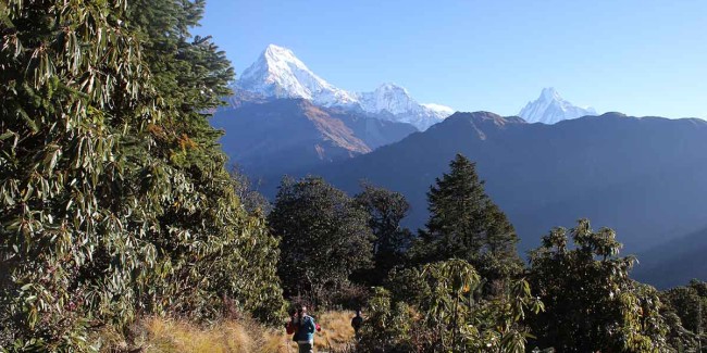 Ghorepani Poon Hill Trek