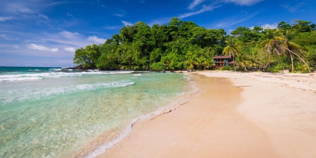 Highlights of Panama: Canals, Wildlife, Culture & Nature