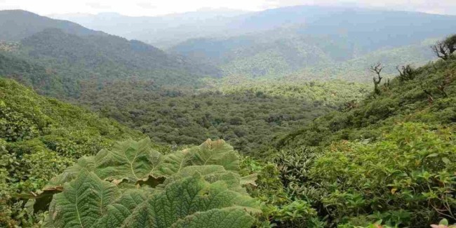 Costa Rica with Panama: Rainforests, Volcanoes, Beaches, Wildlife & Culture