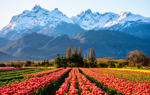 Amazing Patagonia Argentina