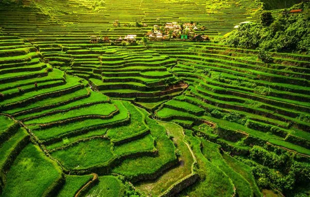 Batad Rice Terraces - Lumle holidays