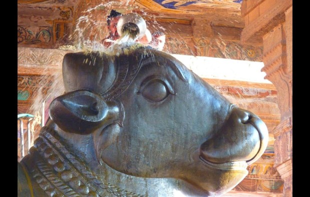 Bull temple Bangalore
