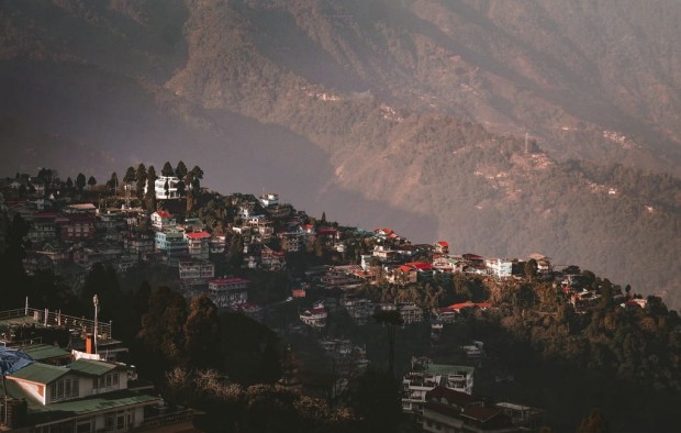 Darjeeling (1) (1)