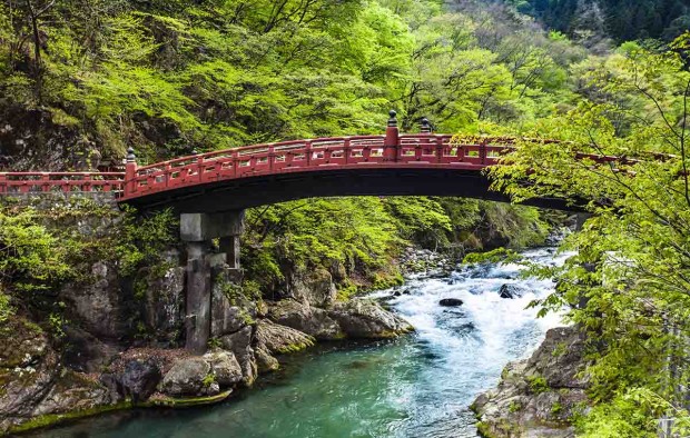 Forest in Japan - Lumle holidays