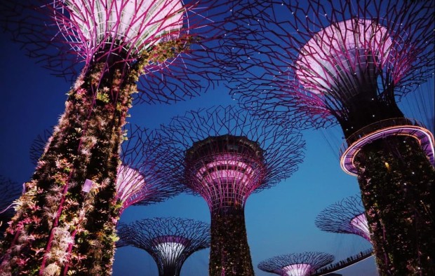 Gardens by the Bay, Singapore