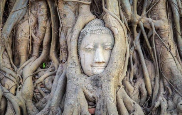 Highlights Of Thailand