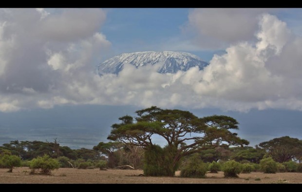 Landscape with Trees and Snowcapped Mountain in Clouds