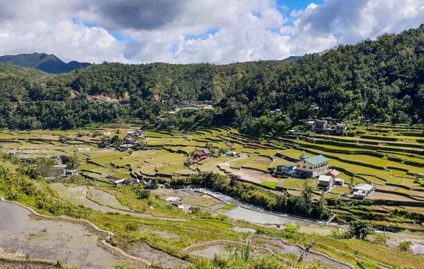 Rice field - Lumle holidays