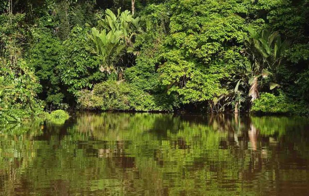 Tortuguero National Park - Lumle holidays
