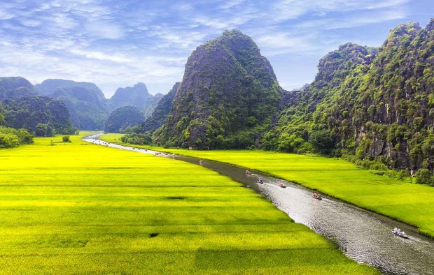 Rice field and river, NinhBinh, vietnam landscapes