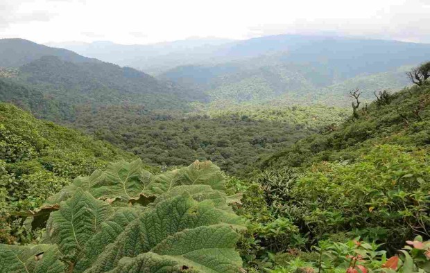 Highlights Of Costa Rica