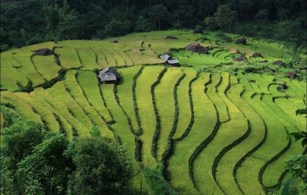 Landscape Vietnam