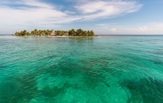 laughing-bird-belize