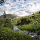 Incas with Amazon & Galapagos: Ruins, Wildlife, Culture, Rainforests & Islands