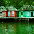 Jungle Lodge