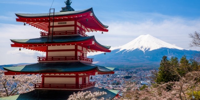 Discover Japan: Cherry Blossom Season