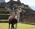 Highlights Of Peru