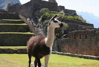 Highlights Of Peru