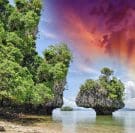 Thailand. Beautiful island vegation and rocks at sunset